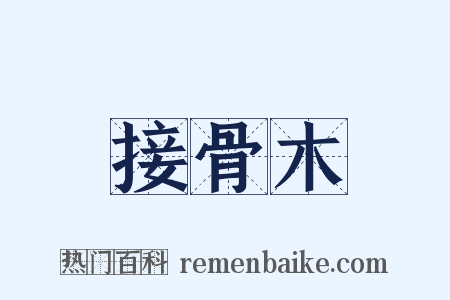 接骨木是什么意思的图片